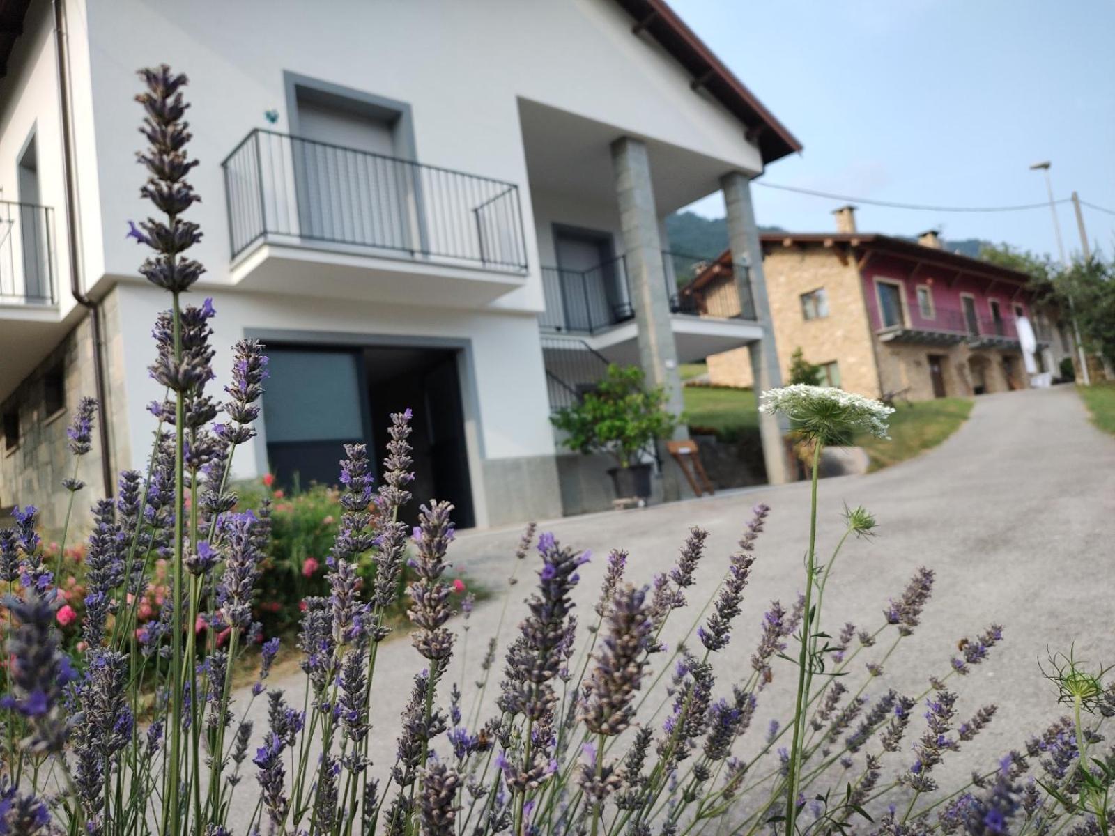 Ca' Dei Vescu - Villetta Per Vacanze Demonte Exteriör bild